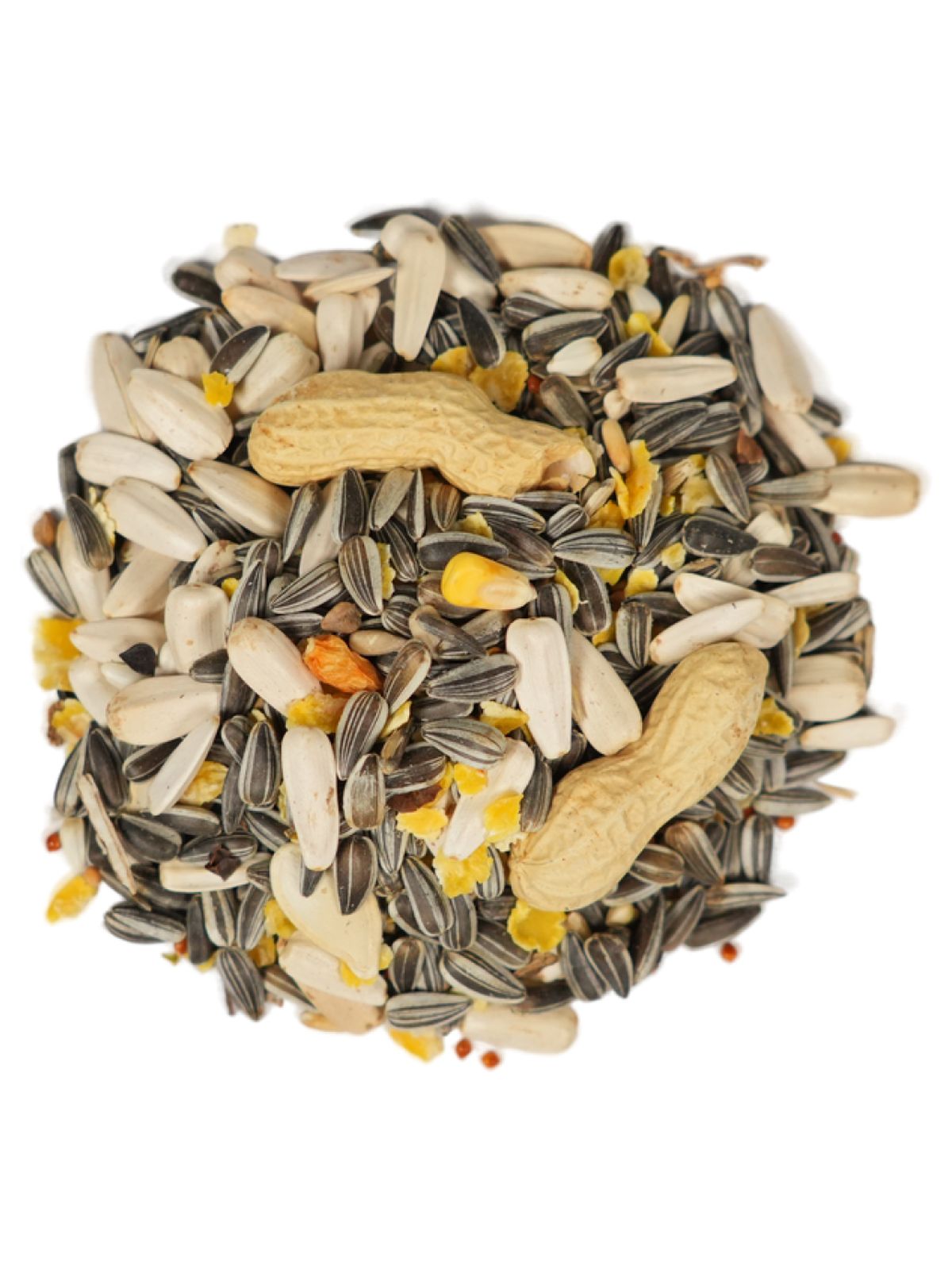 Корм Fiory Pet Paradise для крупных попугаев 1 кг