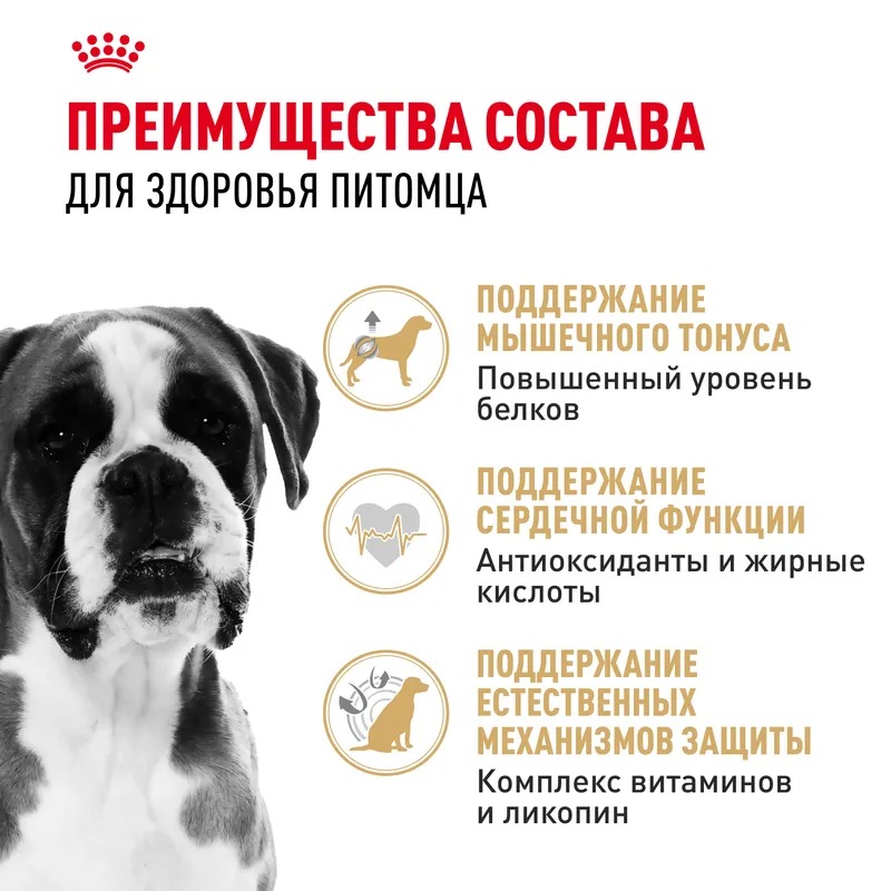 Royal Canin Boxer Adult, Сухой корм для собак для породы Боксер 12 кг
