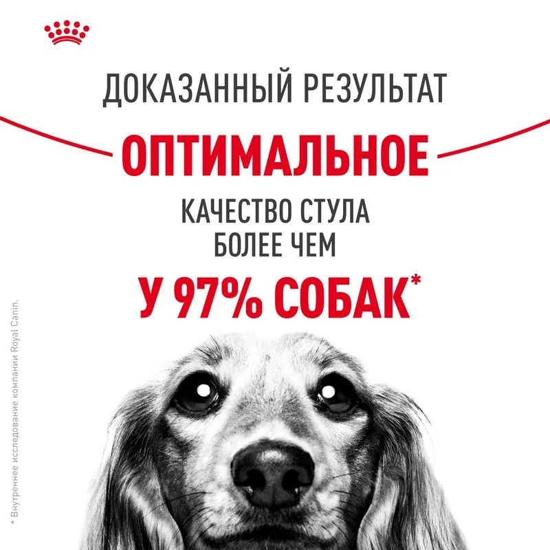 Royal Canin Сухой корм для собак  Medium Digestive Care, с чувствительным пищеварением 3 кг