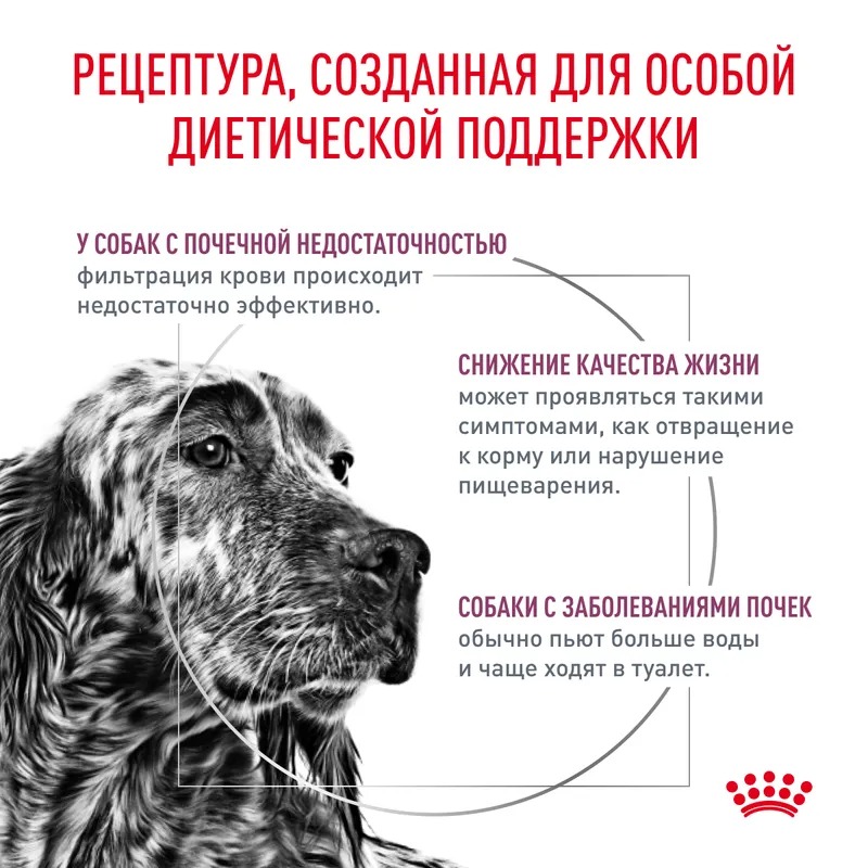 ROYAL CANIN Renal корм для собак для почек 2 кг 4627109385331
