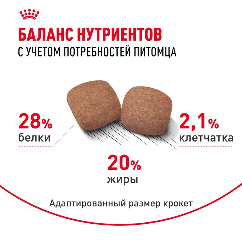 ROYAL CANIN Giant корм сухой для собак гигантских пород 15 кг 4627109384914
