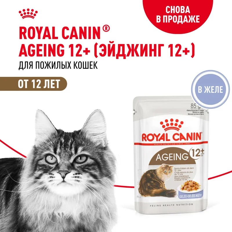 Royal Canin Ageing 12+ Влажный корм для стареющих кошек в возрасте старше 12 лет, мелкие кусочки в желе, 85гр