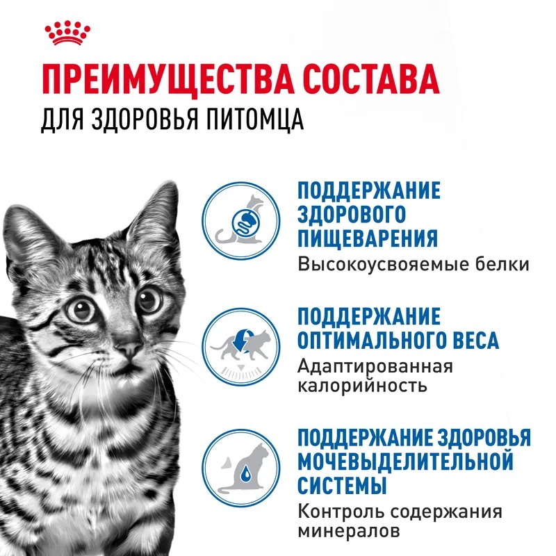 Royal Canin Indoor Sterilised Влажный корм для взрослых кошек живущих в помещении, кусочки в соусе, 85гр