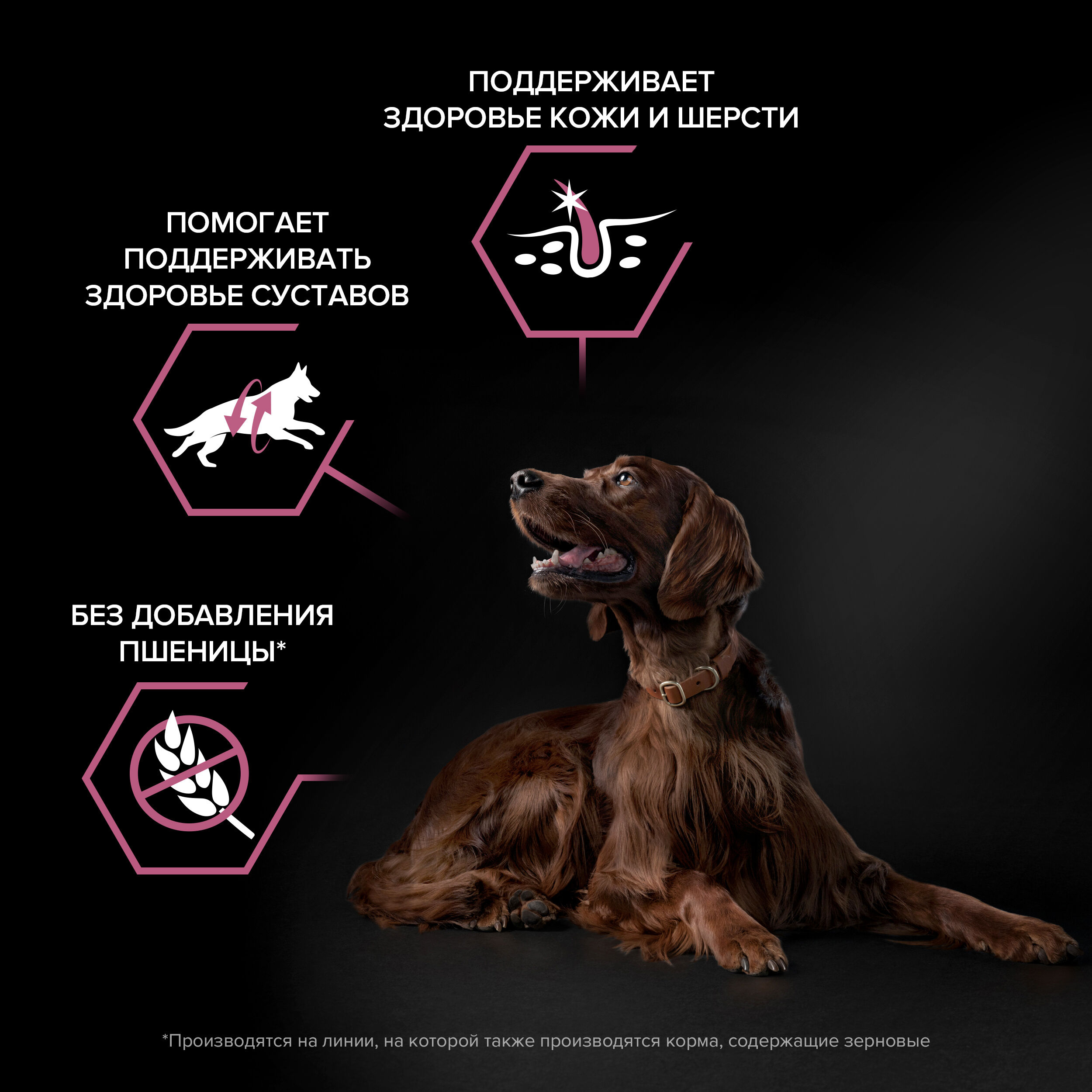 Сухой корм PRO PLAN SENSITIVE SKIN для взрослых собак крупных пород с атлетическим телосложением с чувствительной кожей с лососем, 14 кг  7613035417045
