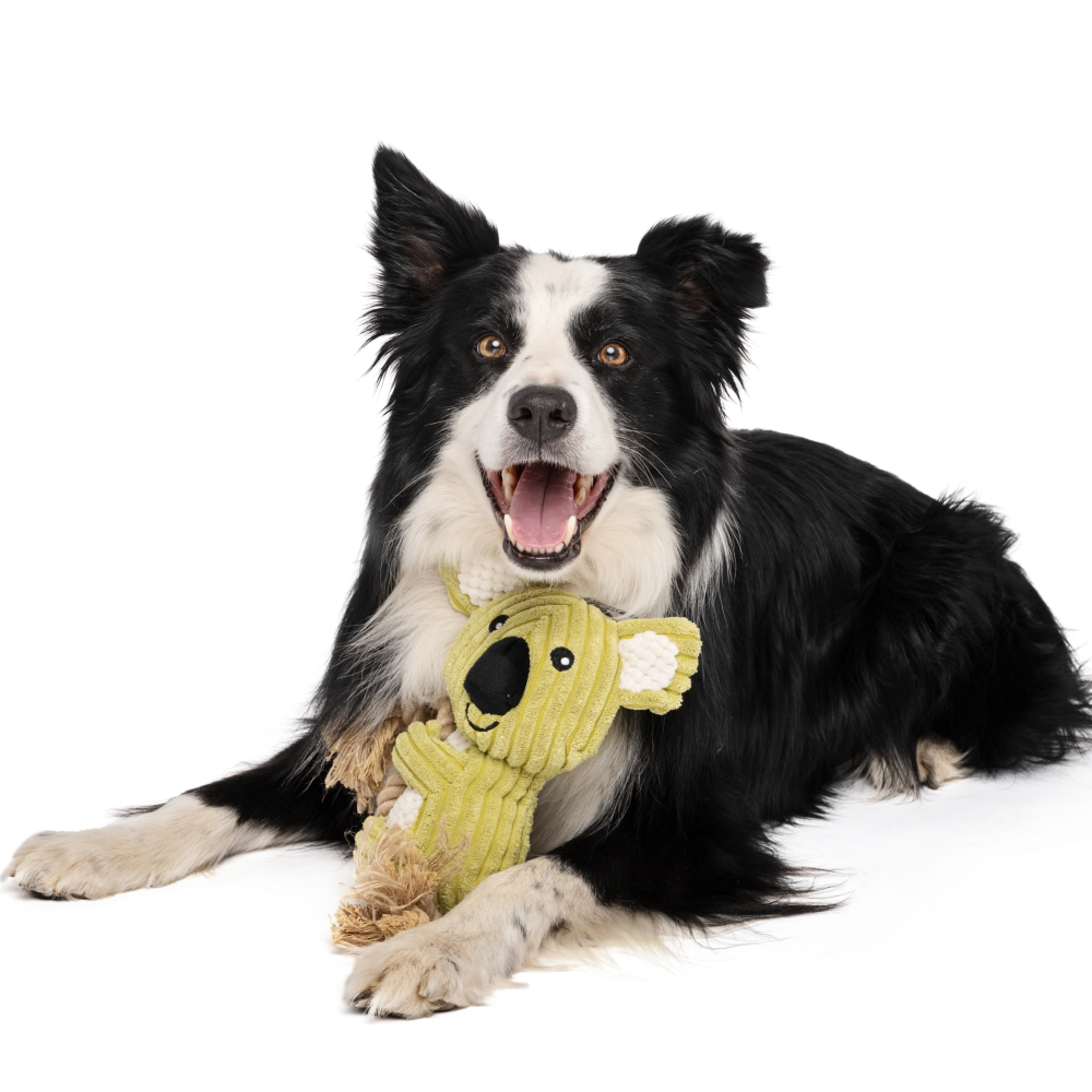 Игрушка Коала НА КАНАТЕ мягкая 34 см. 10640999 Mpets