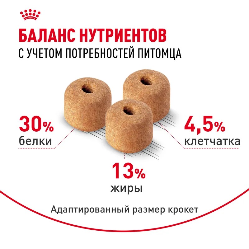 ROYAL CANIN Labrador Retriever сухой корм для собак породы Лабрадор 12кг