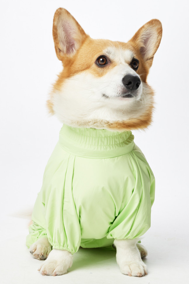 Дождевик LionPets Корги LPK-9125-4 на девочку Цвет: Салатовый (девочка Размер 3 (спинка 53, обхват шеи 40-48, обхват груди 60-82))