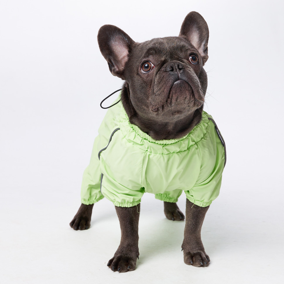 Дождевик LionPets Французский бульдог LPK9025-4 на девочку Цвет: Салатовый (девочка (спинка 41 см, обхват шеи 42-59 , обхват груди 46-66 см))