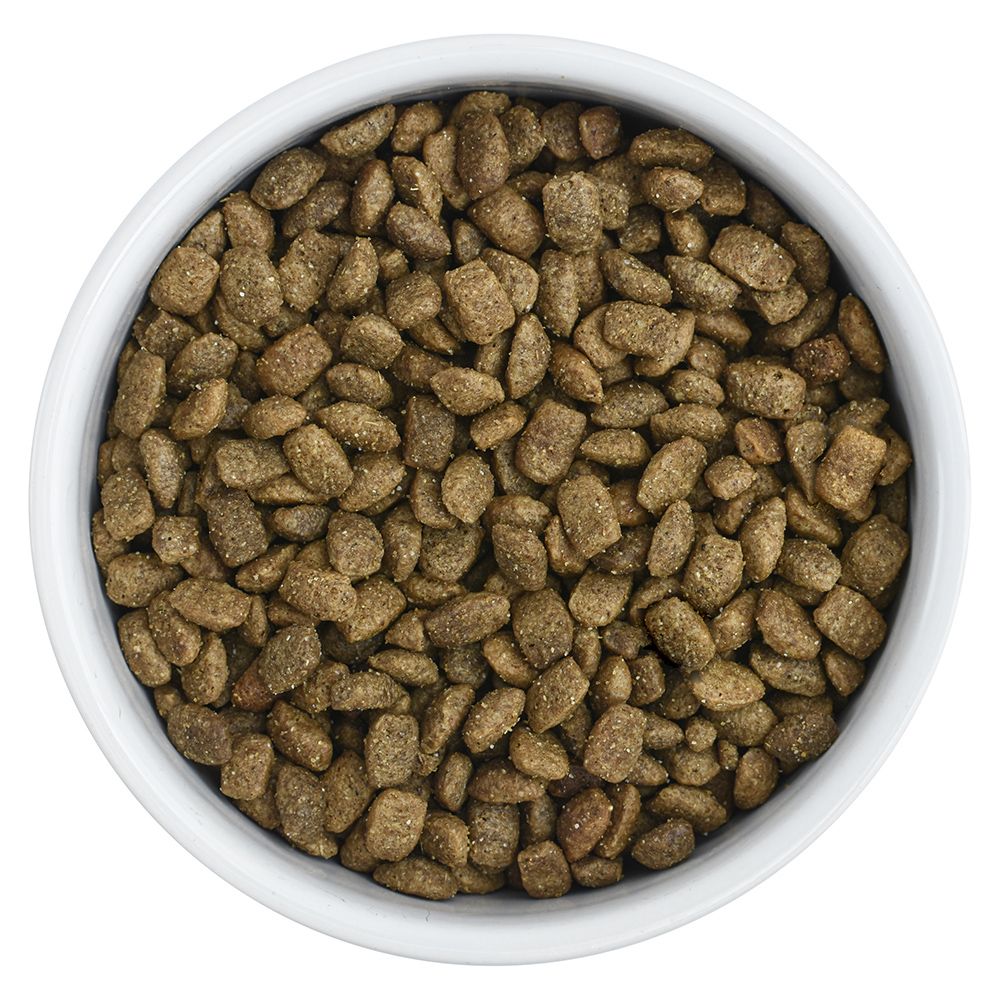 Florida Hypoallergenic (Флорида Гипоаллердженик) Сухой корм для кошек с аллергией 500 г 4640201670747