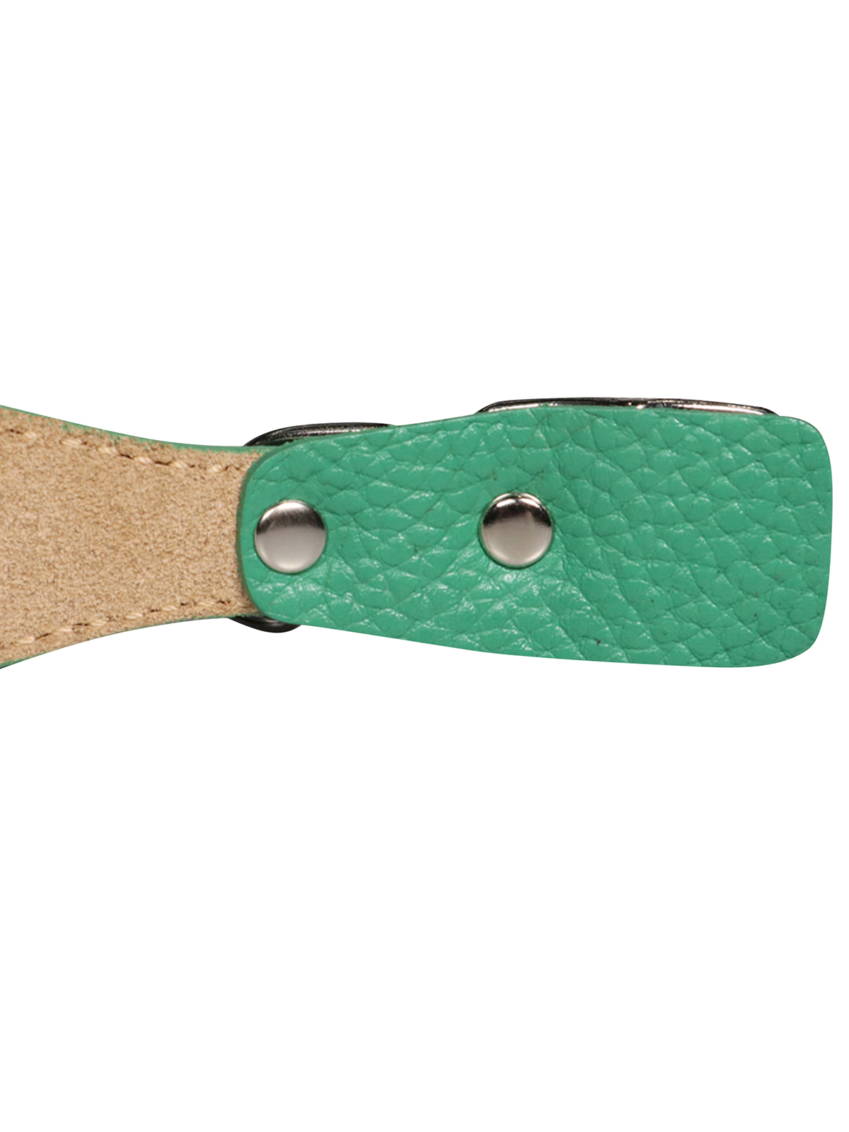 Ошейник Mr.Kranch для собак из натуральной кожи с QR-адресником, 25-30см, зеленый