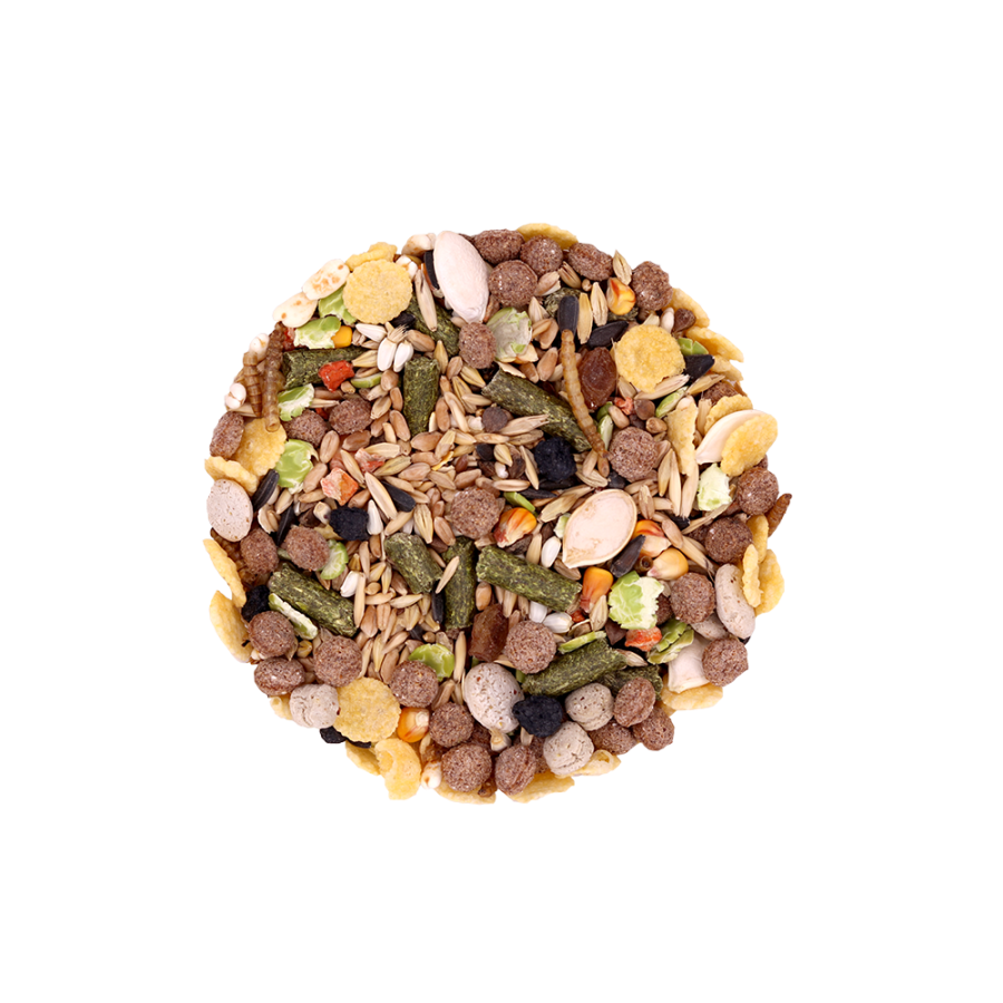 Корм Snax Daily д/крыс 400 г