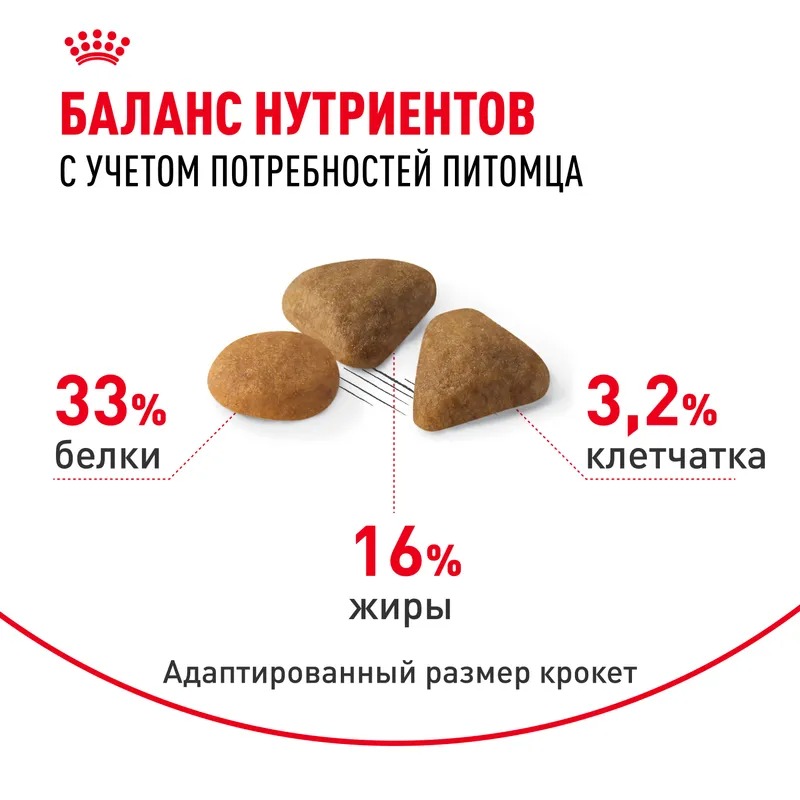 ROYAL CANIN Savour корм для привередливых кошек 4 кг 4627109380688