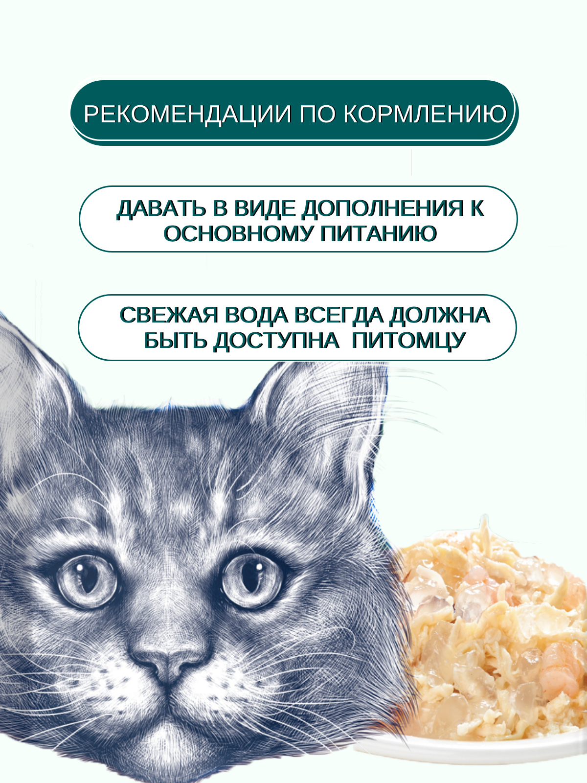 Wanpy Cat Влажный корм для кошек, курица и гребешок, 85 г