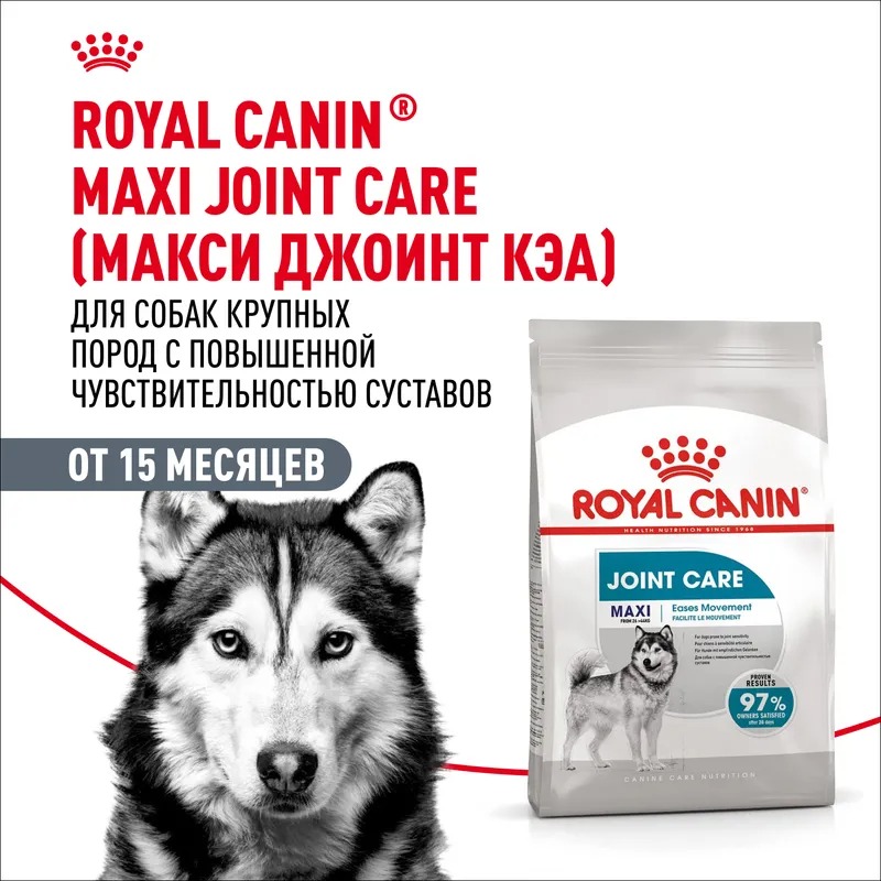 Royal Canin Maxi Joint Care Сухой корм для крупных  собак , поддержка суставов 10 кг