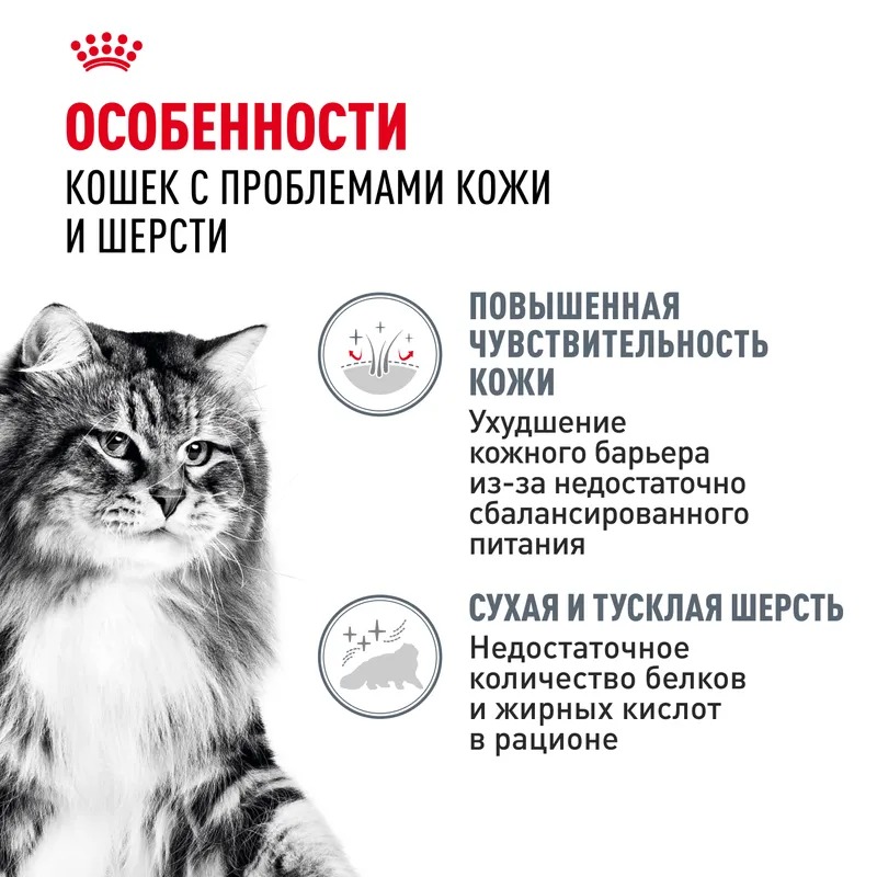 ROYAL CANIN Влажный корм для кошек здоровье кожи и шерсти в соусе, 1шт-85гр 9003579308929