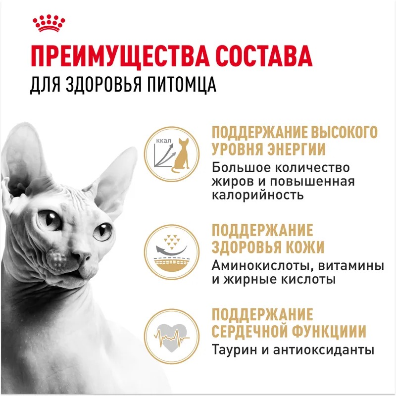 ROYAL CANIN Sphynx сухой корм для взрослых кошек породы Сфинкс 400 гр 4627109382415