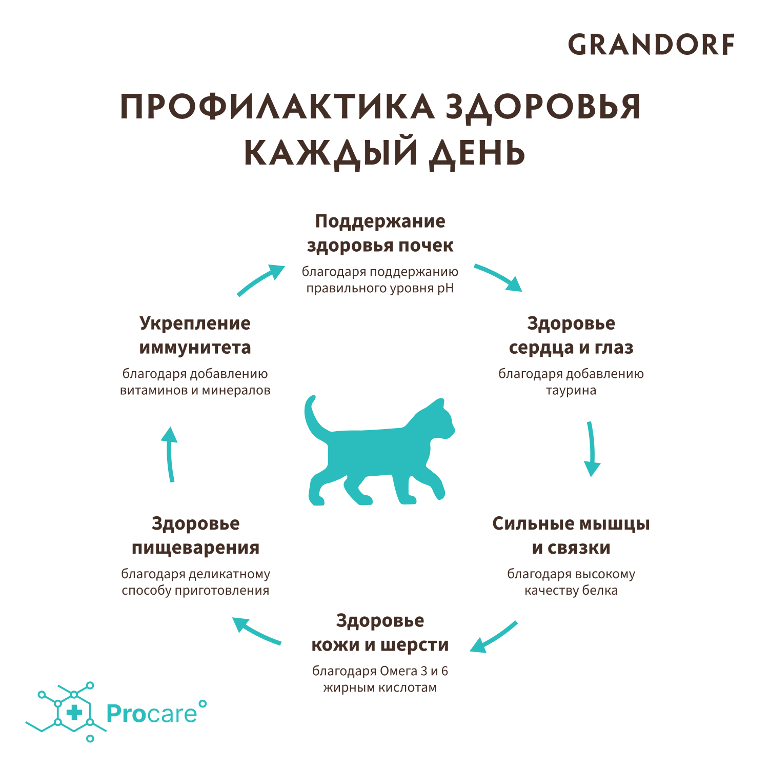 Grandorf Сухой корм для котят с ягненком и индейкой 2 кг 5407007851201
