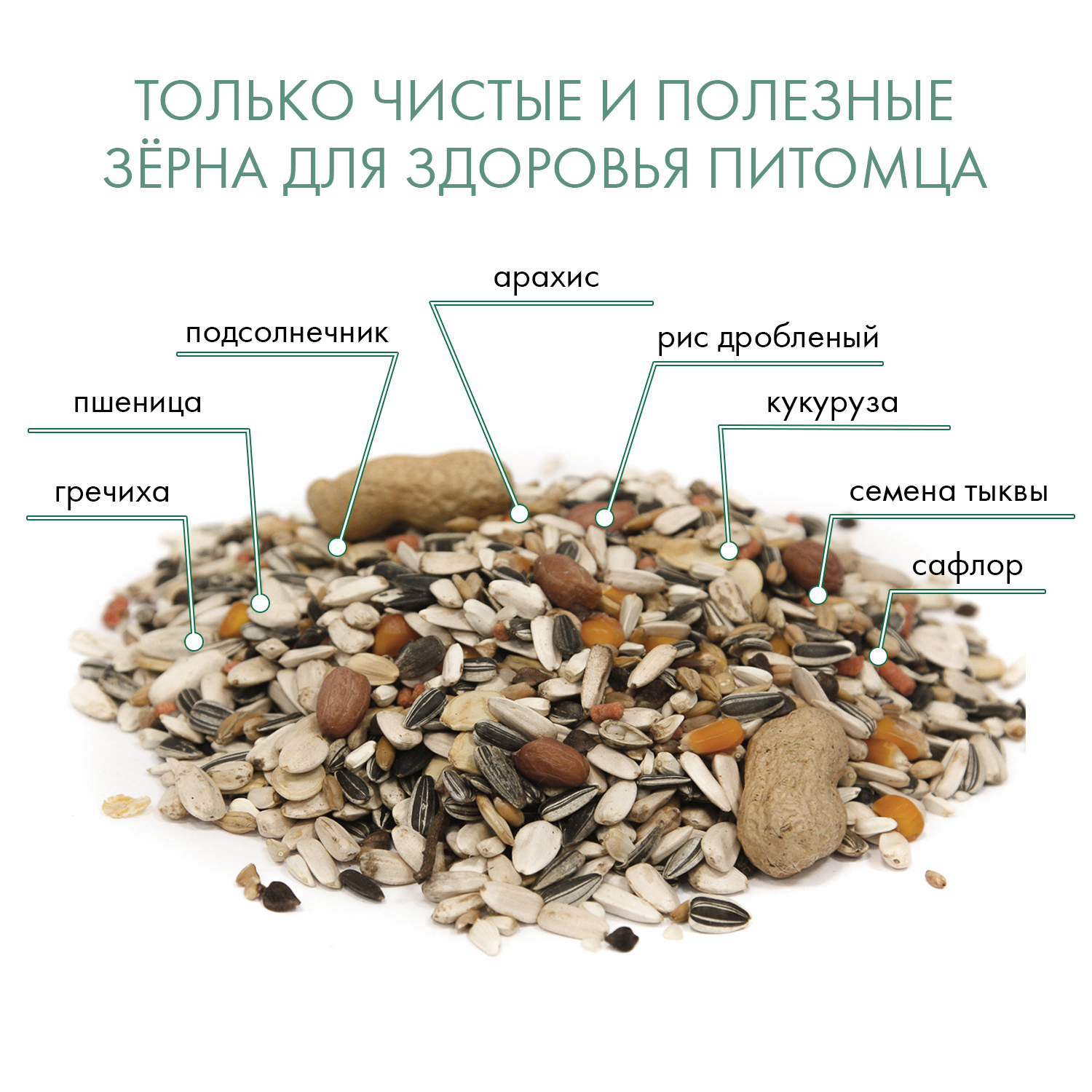 Корм Fiory Pappagalli для крупных попугаев 700 г