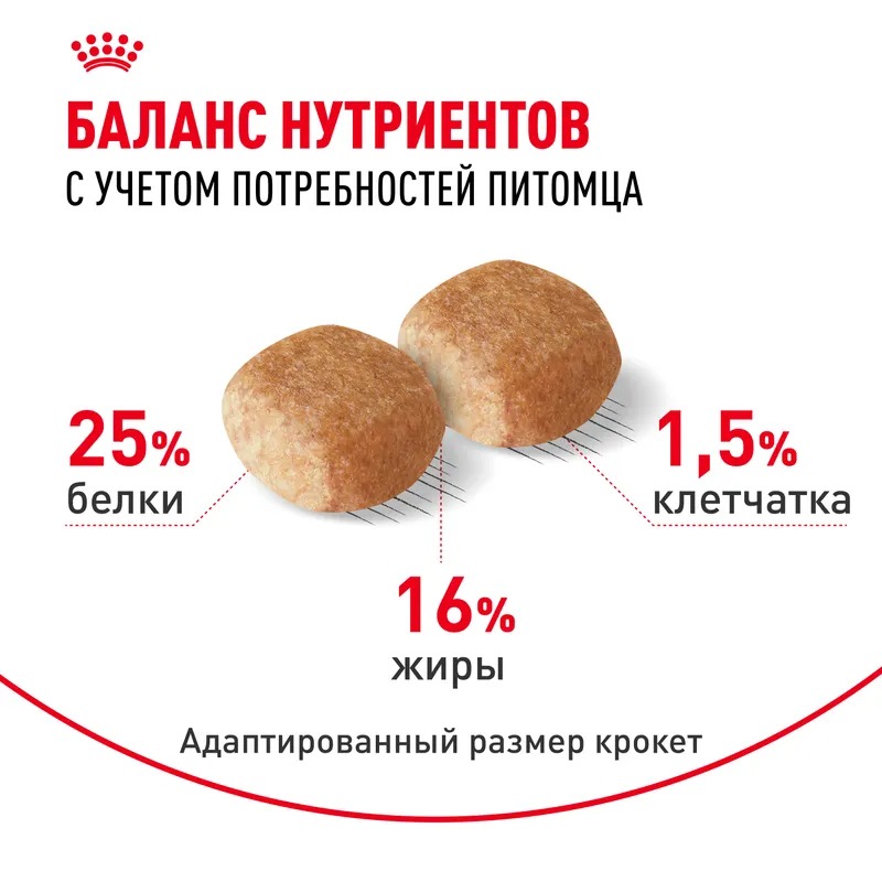 Сухой корм для собак Royal Canin Miniature Schnauzer Adult, для Миниатюрный Шнауцер 3 кг