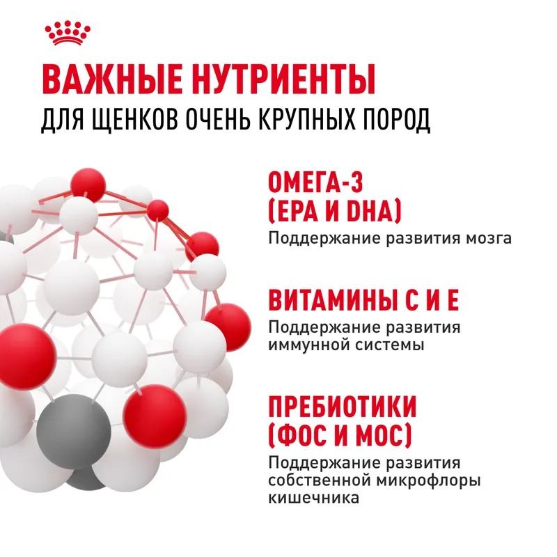ROYAL CANIN Giant корм сухой для щенков гигантских пород 15 кг 4627109384969