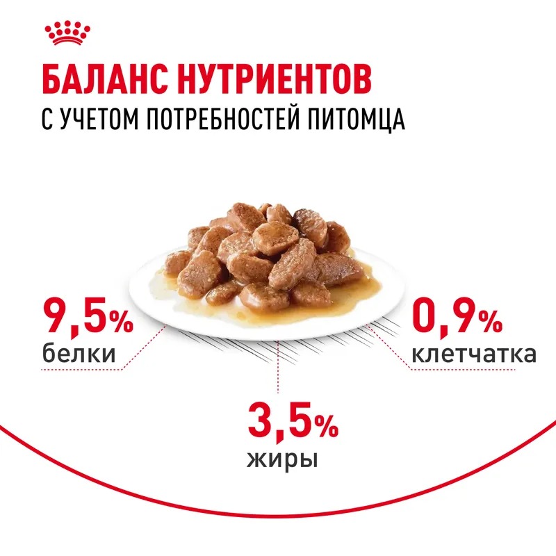 ROYAL CANIN Digest Sensitive корм для кошек соус 1 шт-85 гр 4627180245203