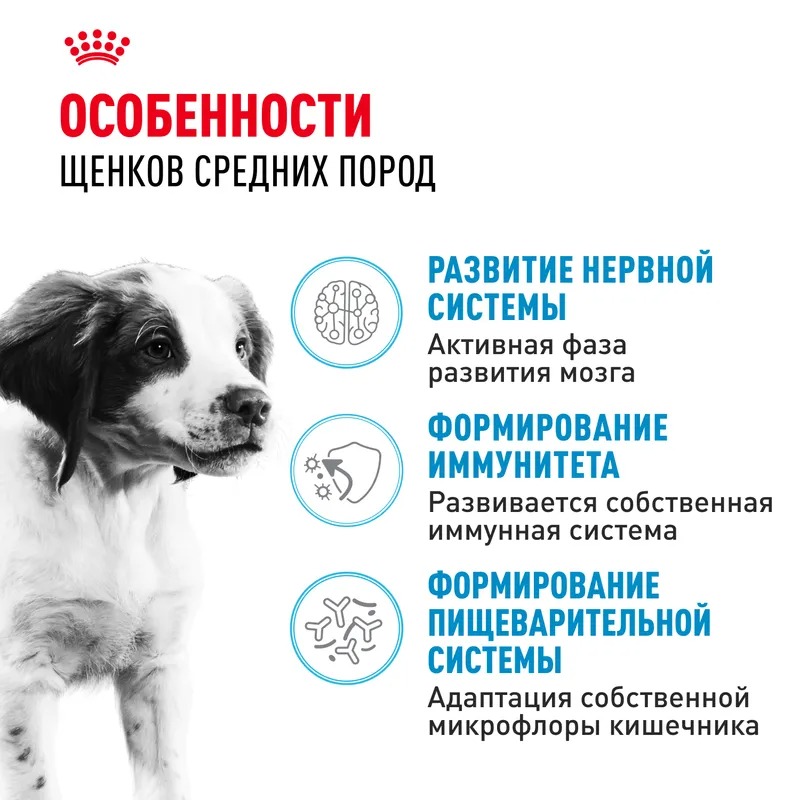 ROYAL CANIN Medium Puppy для щенков средних пород 14 кг 4627166861595