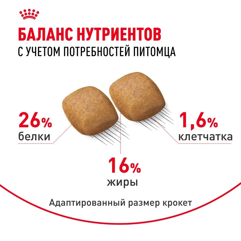 Royal Canin Сухой корм для собак  Pomeranian Adult, для породы Померанский Шпиц 1,5 кг