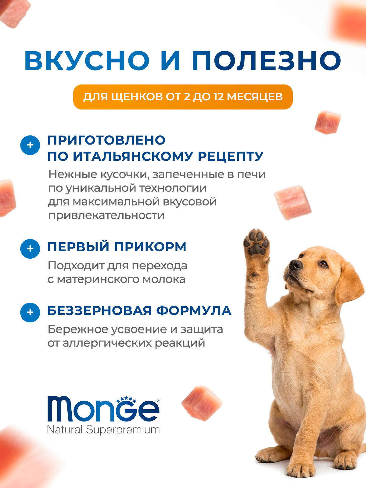 Влажный корм Monge Dog Grill Puppy&Junior для щенков с курицей и индейкой, паучи 100 г