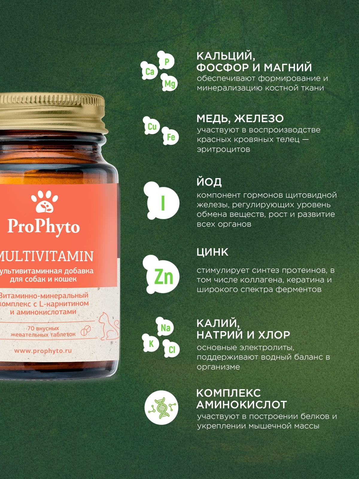 ProPhyto Мультивитамин, 70 таблеток