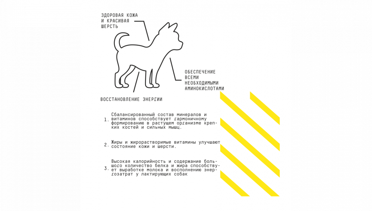 Ajo Сухой корм для щенков миниатюрных пород Very small puppy&junior с индейкой 8 кг 4630169560310