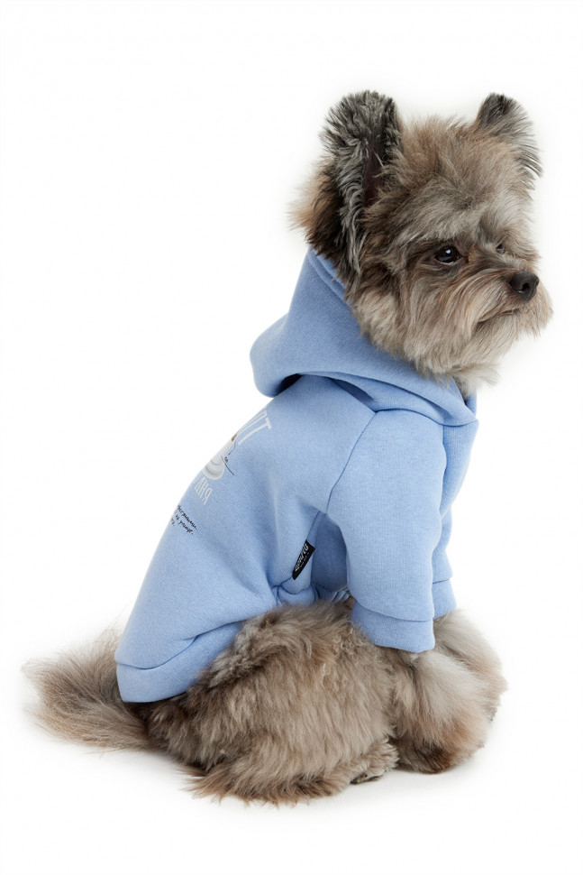 Толстовка для собак LionPets LPK-0433 (Размер S (спинка 23 см))