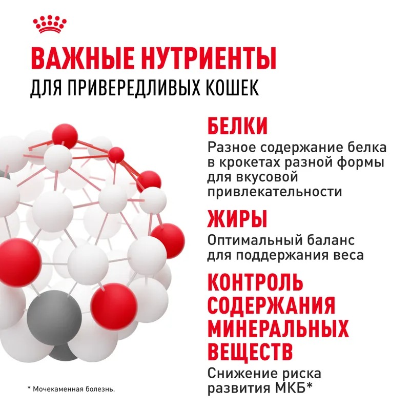 ROYAL CANIN Savour корм для привередливых кошек 4 кг 4627109380688