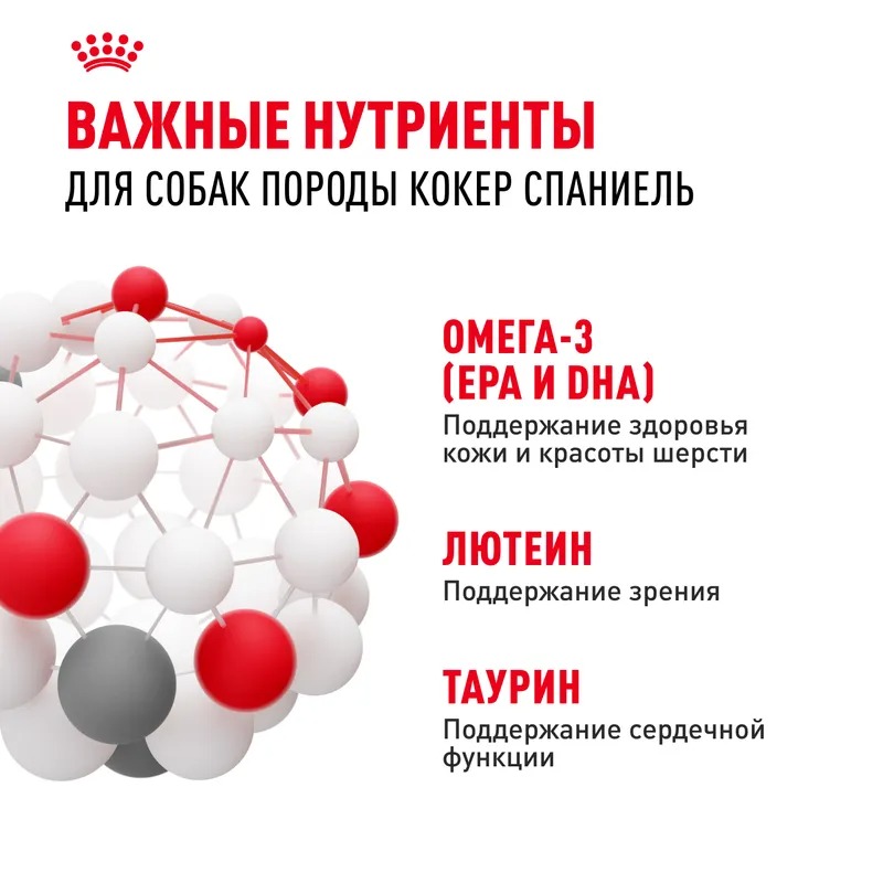 Royal Canin Cocker Adult Сухой корм для собак  для породы Кокер Спаниель 3 кг