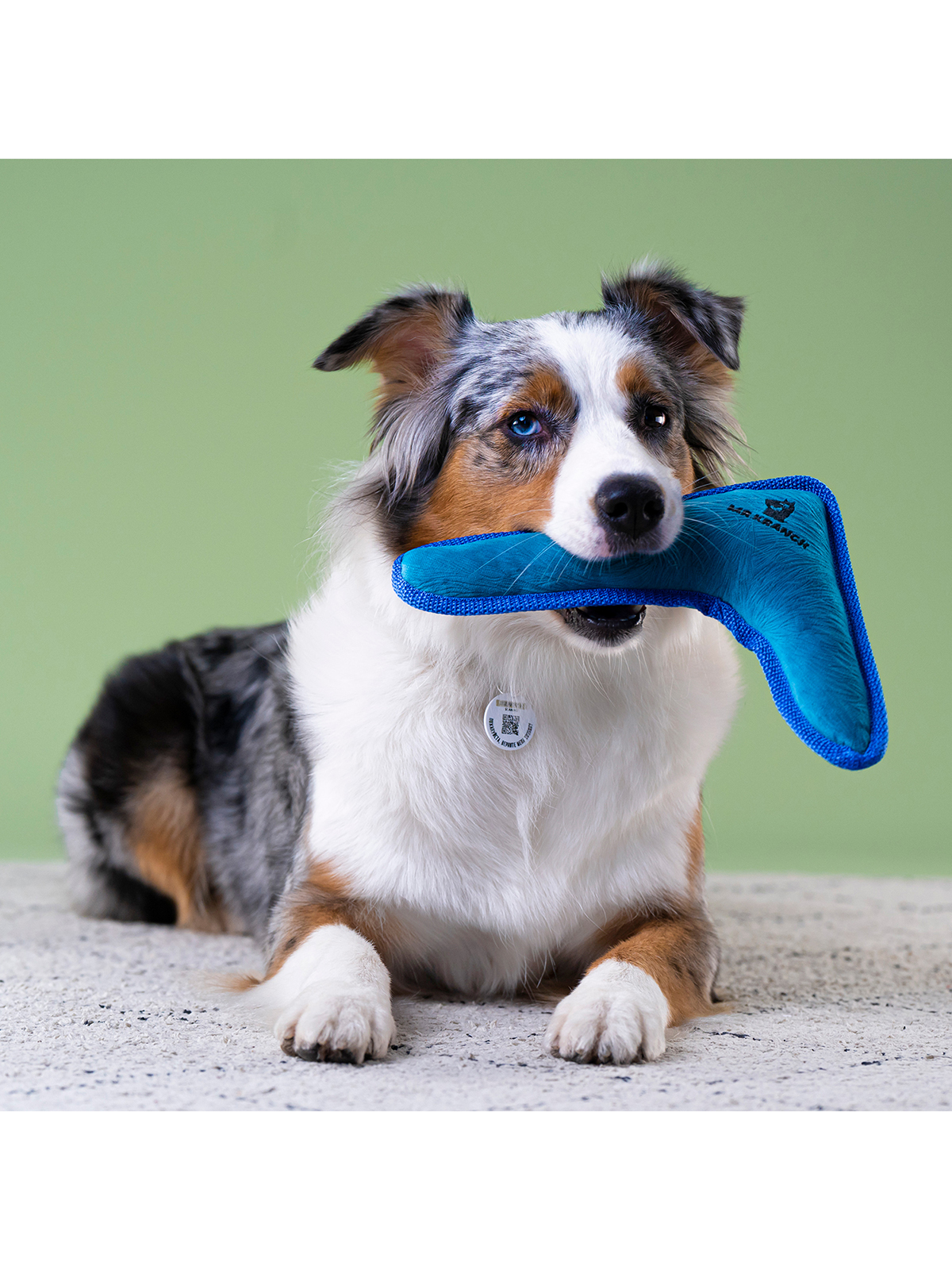 Игрушка Mr.Kranch для собак средних и крупных пород Бумеранг с пищалкой 34х28,5х6,5см, синий