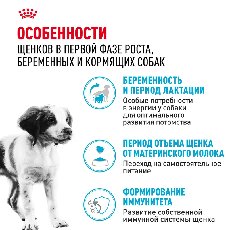 Сухой корм Royal Canin Medium Starter для щенков средних пород до 2-х месяцев, беременных и кормящих сук, 12 кг