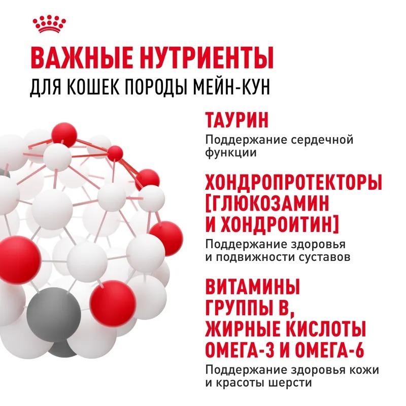 ROYAL CANIN Корм соус кошка породы Мэйн Кун 1шт-85гр 4627180240277