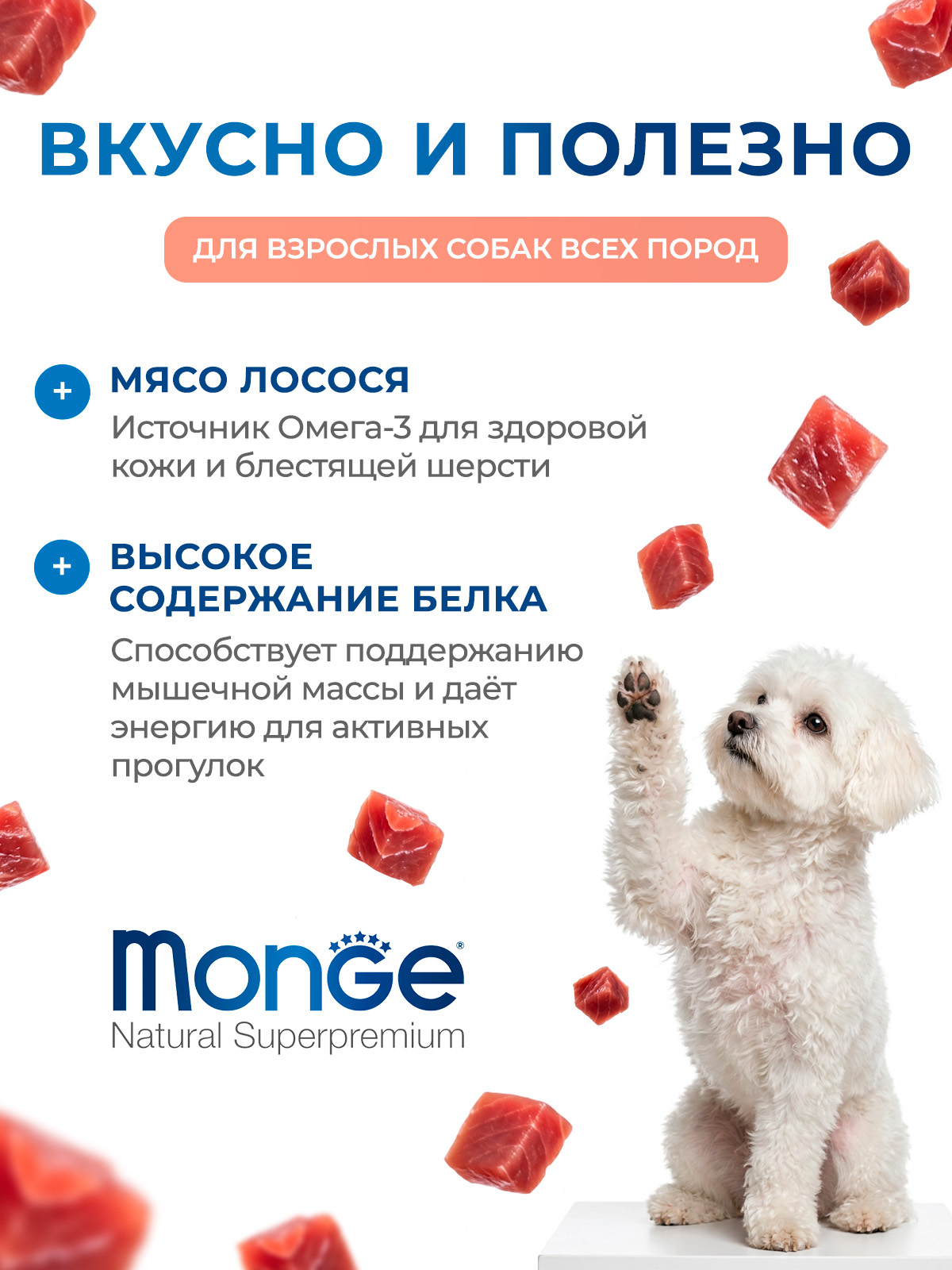 Влажный корм Monge Dog Fresh для собак, с лососем, консервы 100 г