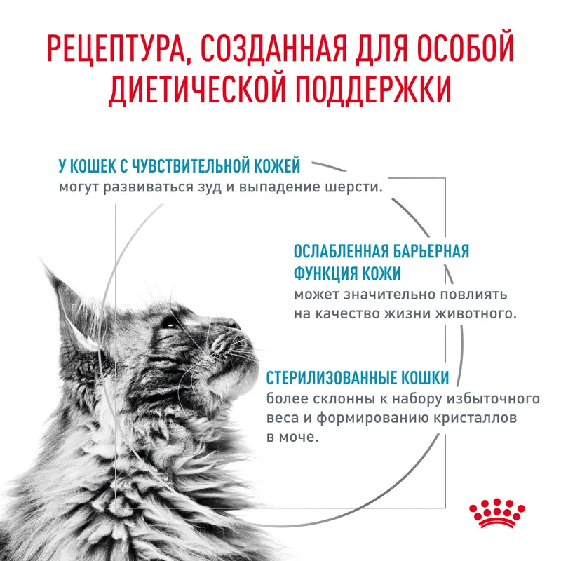 Royal Canin Skin & Coat сухой диетический корм для стерилизованных кошек для поддержания защитных функций кожи 350гр