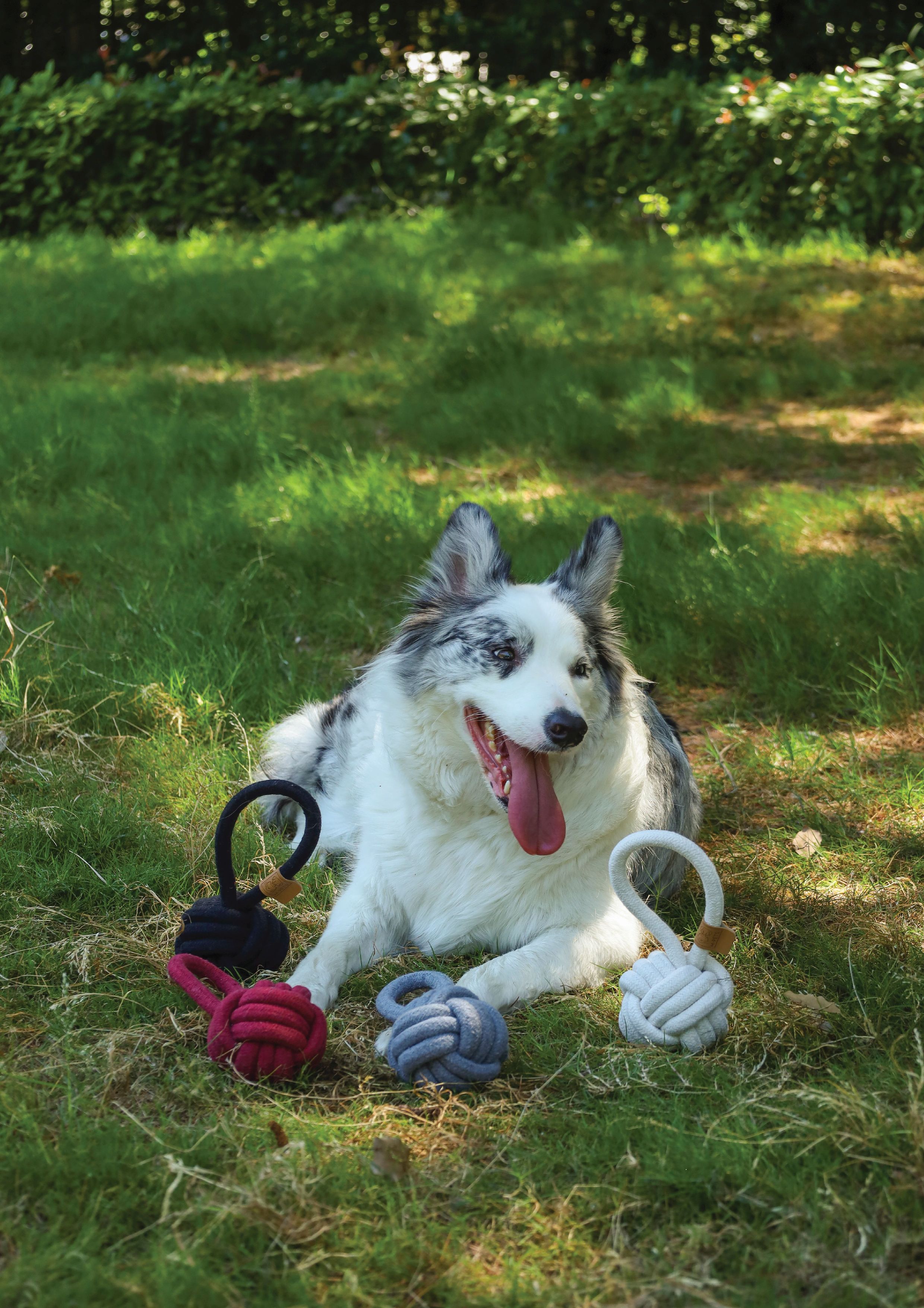 Игрушка для собак мяч-петля белый 8см (хлопок) Mpets 10646801