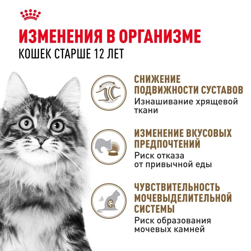 Royal Canin Ageing 12+ Влажный корм для стареющих кошек в возрасте старше 12 лет, мелкие кусочки в желе, 85гр
