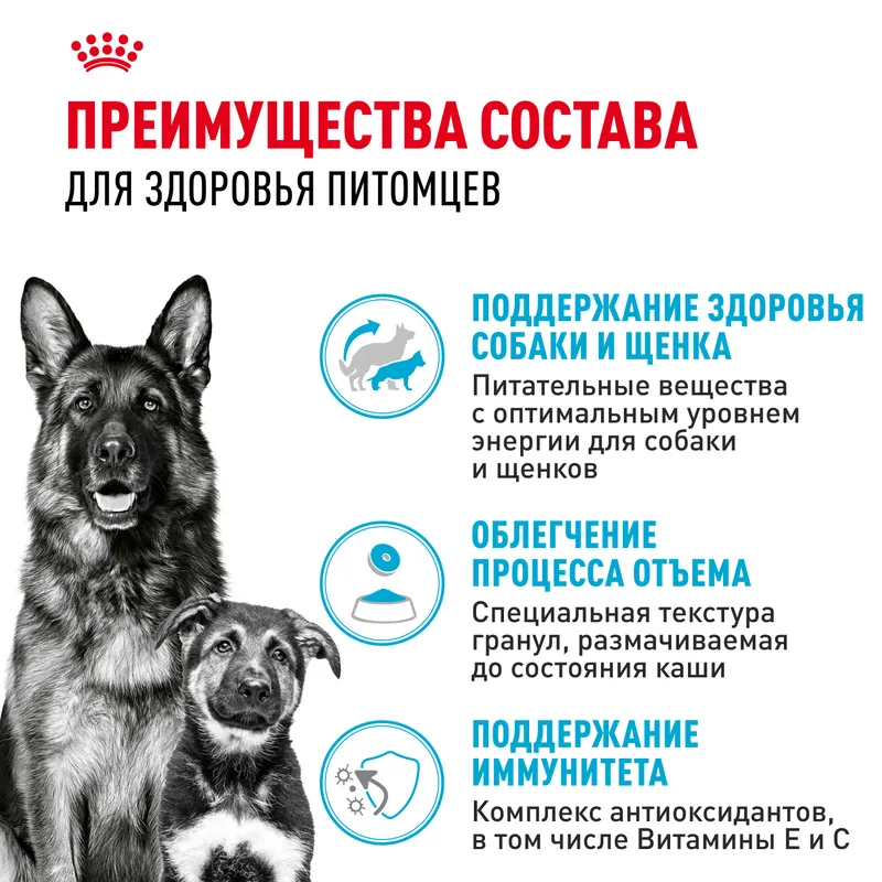 Сухой корм Royal Canin Maxi Starter для щенков крупных пород до 2-х месяцев 4 кг
