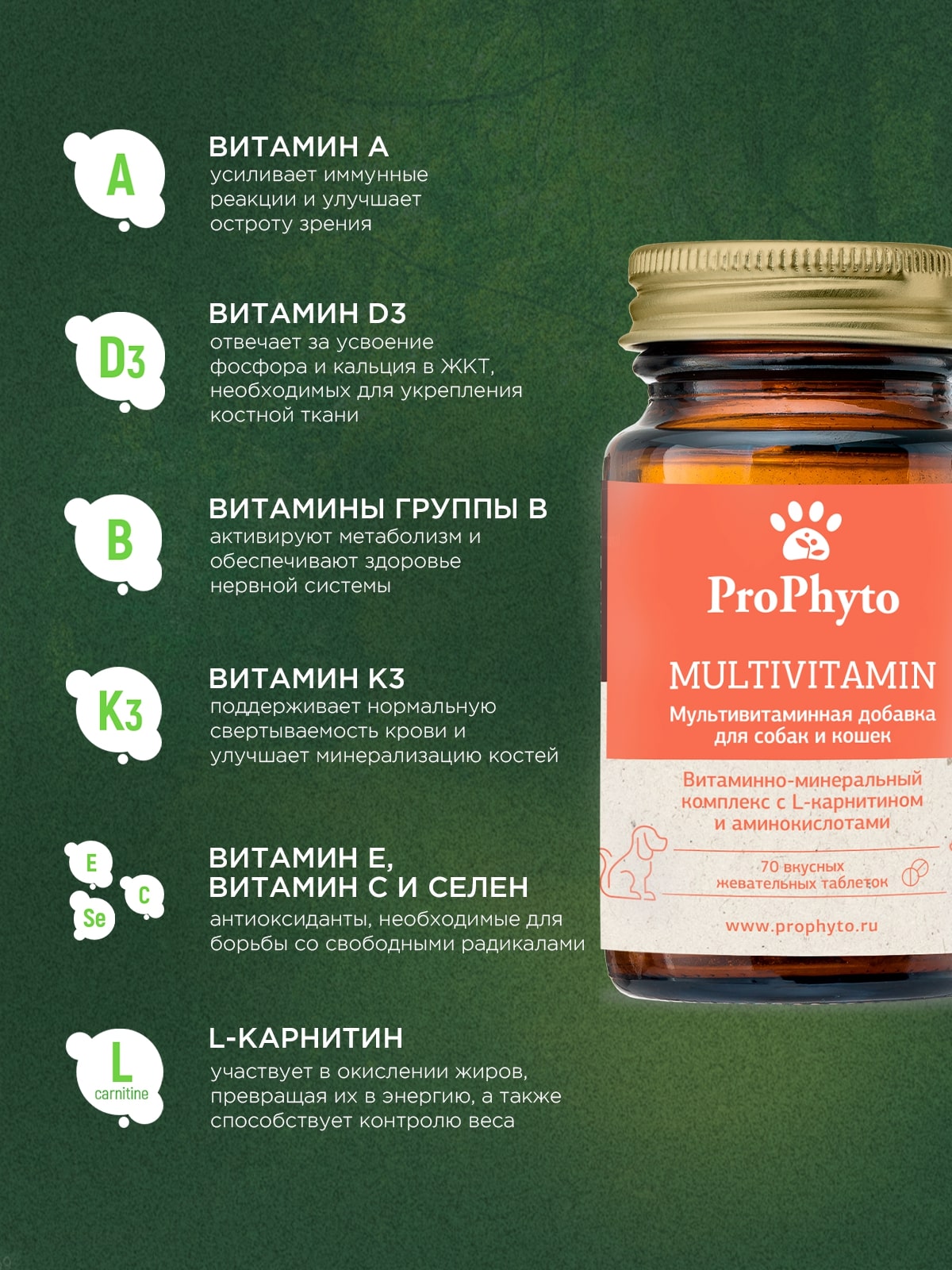 ProPhyto Мультивитамин, 70 таблеток