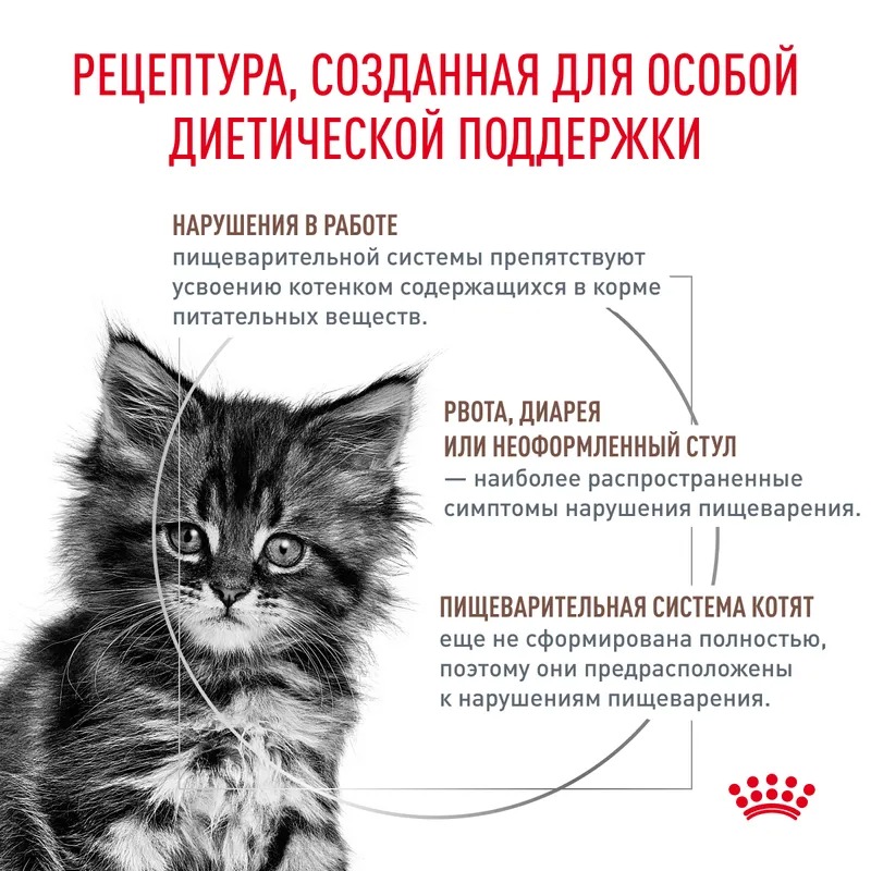 ROYAL CANIN Gastrointestinal Сухой корм для котят 2 кг 3182550906258
