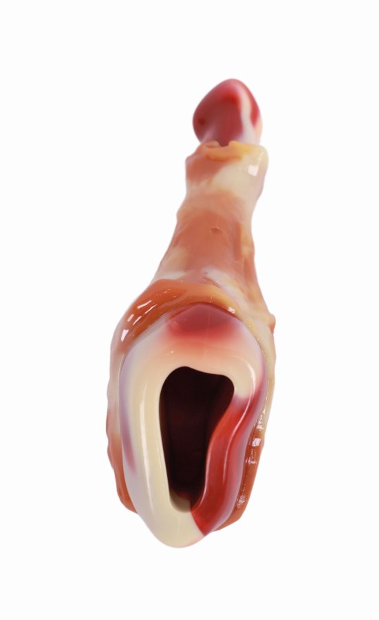 Игрушка для собак Карнивор голень, вкус бекона, красная 14.5 x 5.8 x 4.4 см MPets 10661899