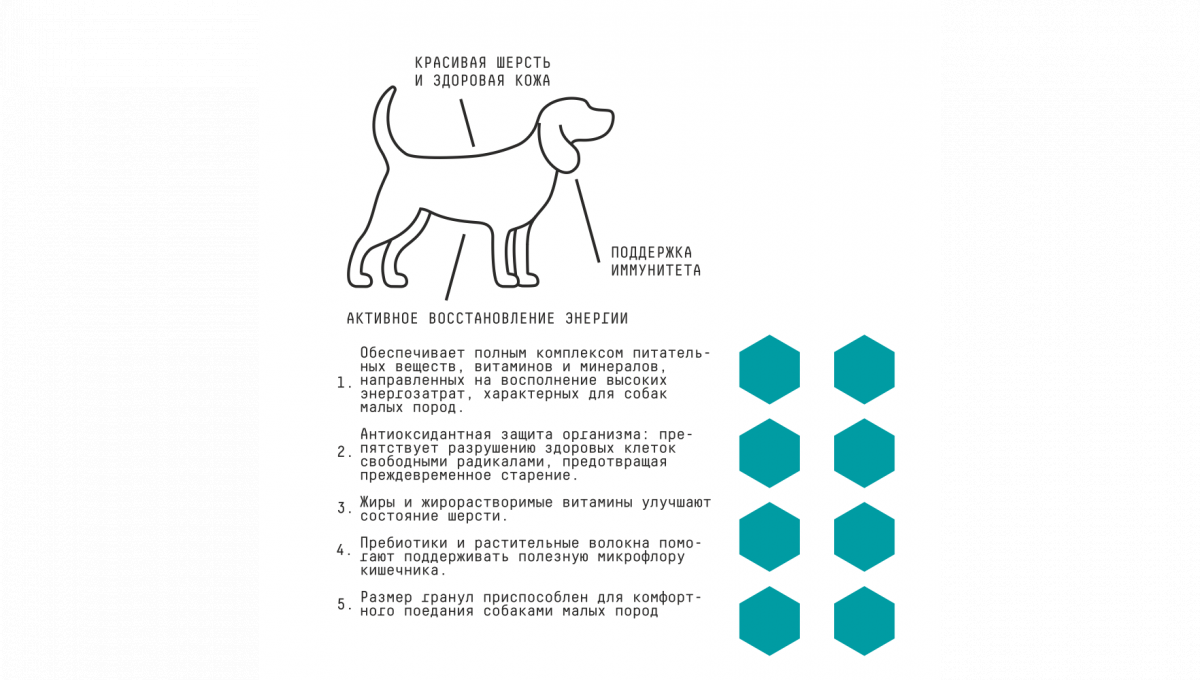 Ajo Сухой корм для собак малых пород Mini Adult с курицей 8 кг 4630169560600