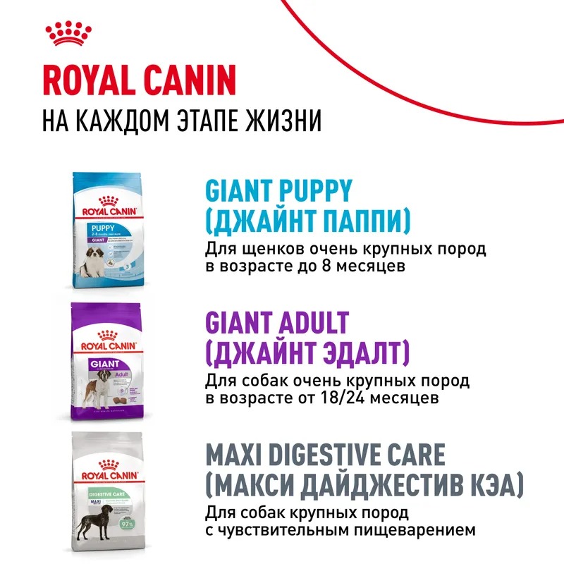 ROYAL CANIN Giant Junior корм сухой для щенков гигантских пород 3,5 кг