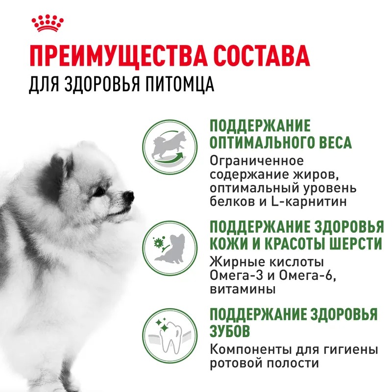Сухой корм для собак Royal Canin, для малых пород, живущих в помещении 3 кг