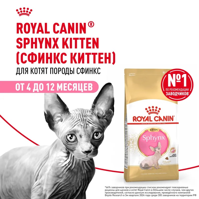 ROYAL CANIN Sphynx Kitten корм для котят породы сфинкс 2 кг 4627150233988