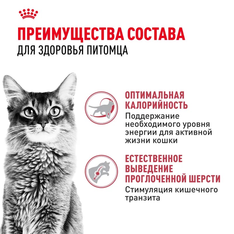 ROYAL CANIN Корм сухой Fit 32 для взрослых кошек 2 кг 4627109380572