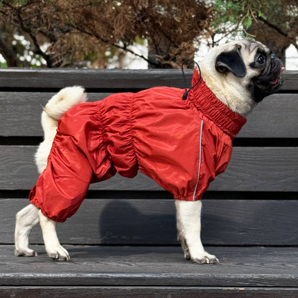 Дождевик для собаки LionPets Мопс LM9030-34 (девочка (спинка 33 см, обхват шеи 36-50 см, обхват груди 34-48 см))